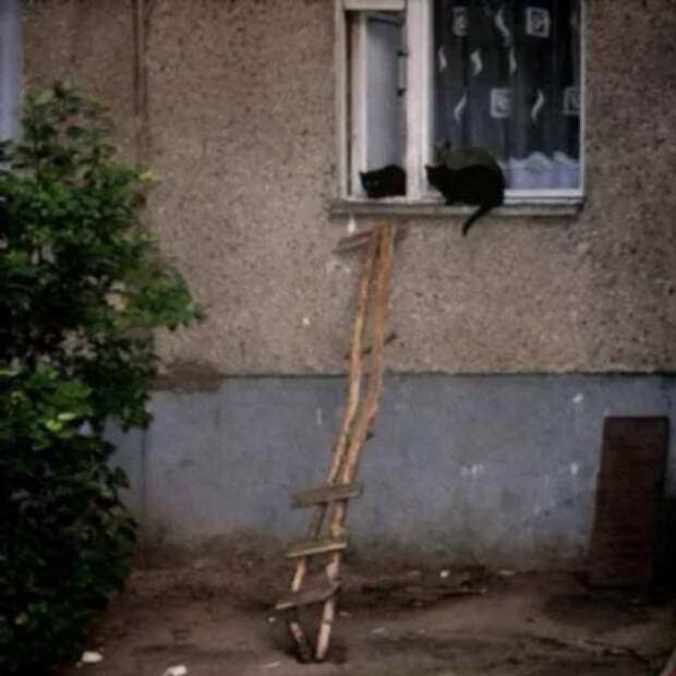 Строительные приколы ошибки и маразмы. Подборка chert-poberi-build-chert-poberi-build-20320203102020-9 картинка chert-poberi-build-20320203102020-9