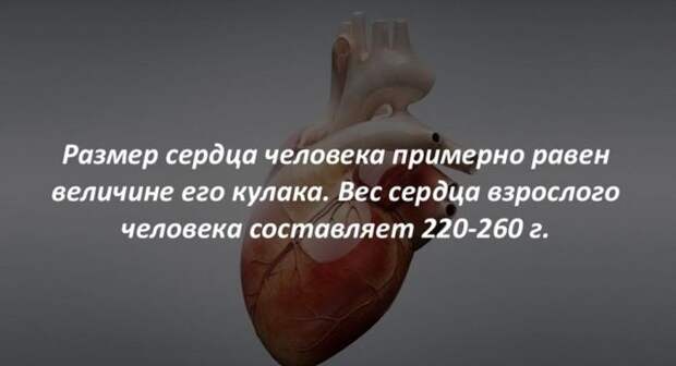 Интересные факты (40 картинок)