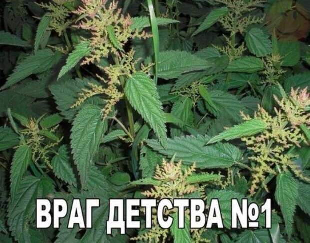 Прикольные картинки понедельника (41 шт)