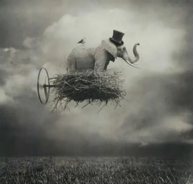 Воскресный юмор - лучшая подборка