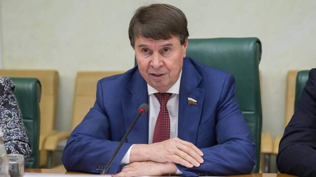 Сенатор Цеков заявил о нежелании Киева решать конфликт в Донбассе мирным путем