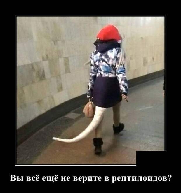 www.vsyako.net