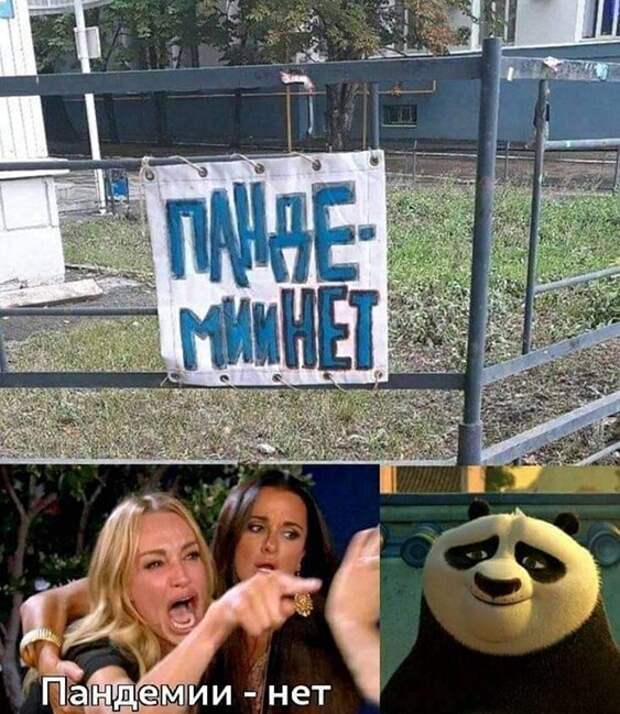 Пандемии нет ) Пандемии нет )
