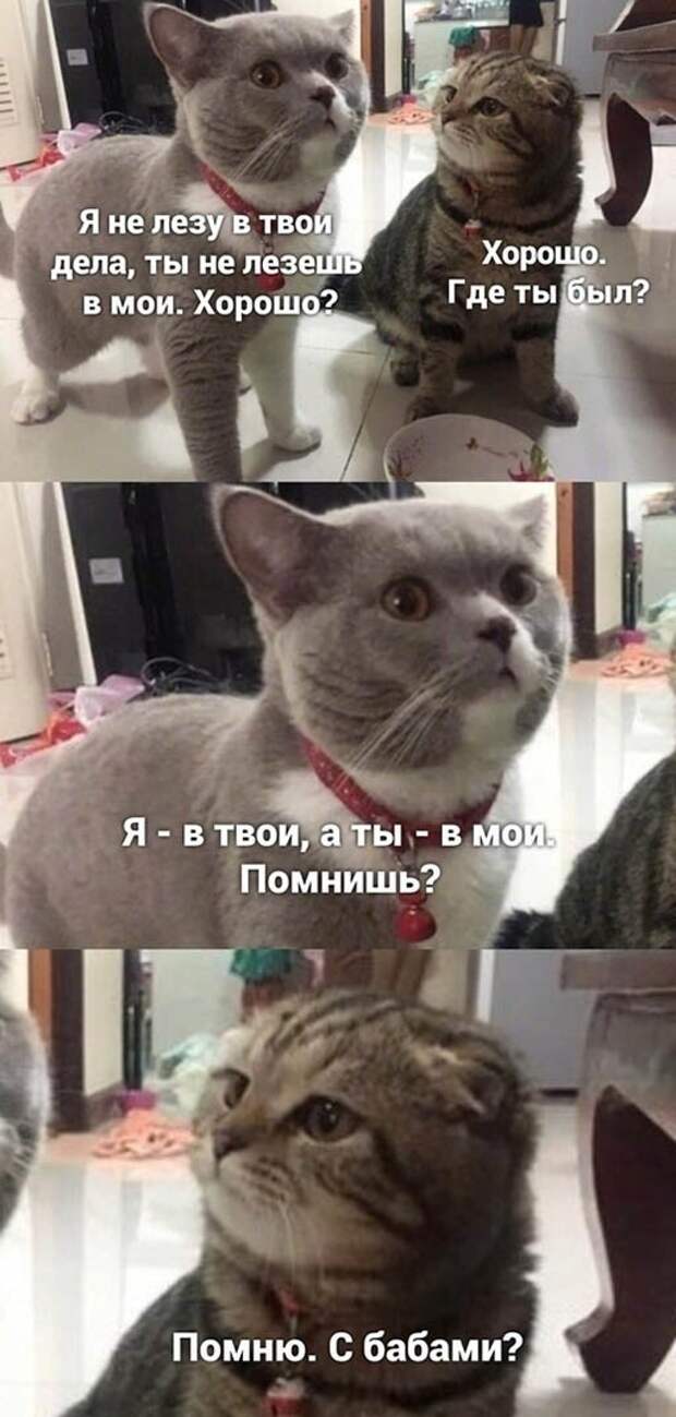 Хорошо?) Хорошо?)