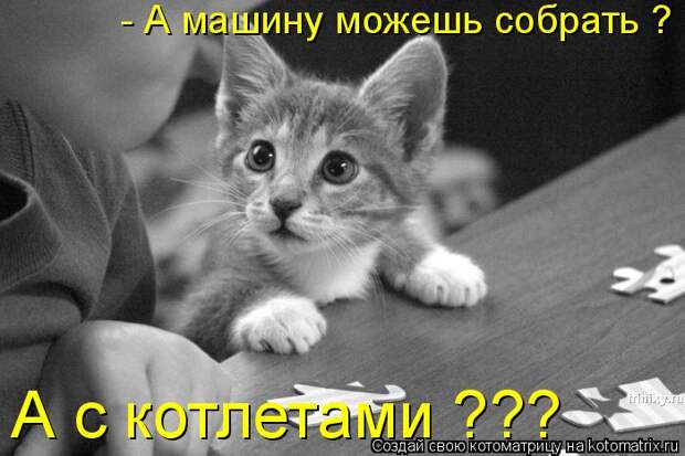 Котоматрица - А с котлетами ??? - А машину можешь собрать ?