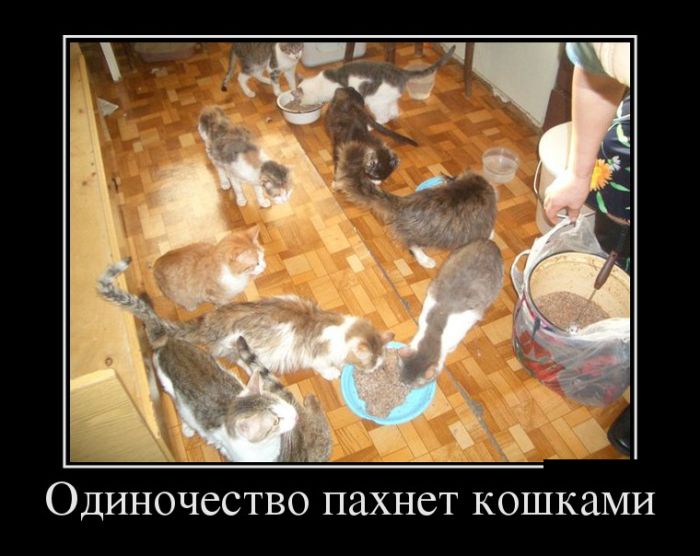 Демотиваторы (30 фото)