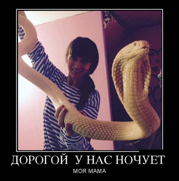 1484677646_13