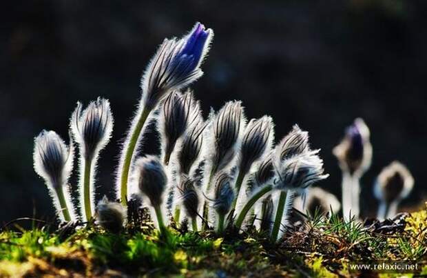 Andris_Eglitis_016 Andris_Eglitis_016