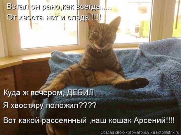 Свежая и прикольная котоматрица (32 фото)