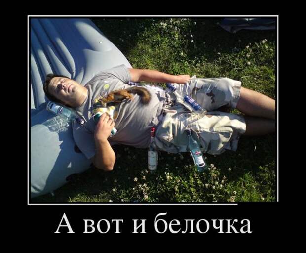 Демотиваторы (30 фото)