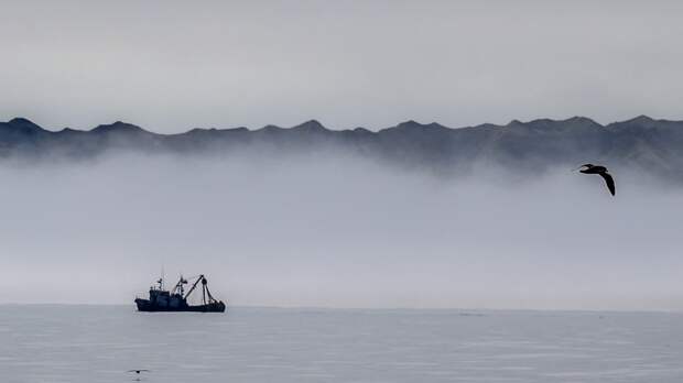 Охотское море — кладовая Дальнего Востока: освоение, достопримечательности и экологические проблемы наших дней