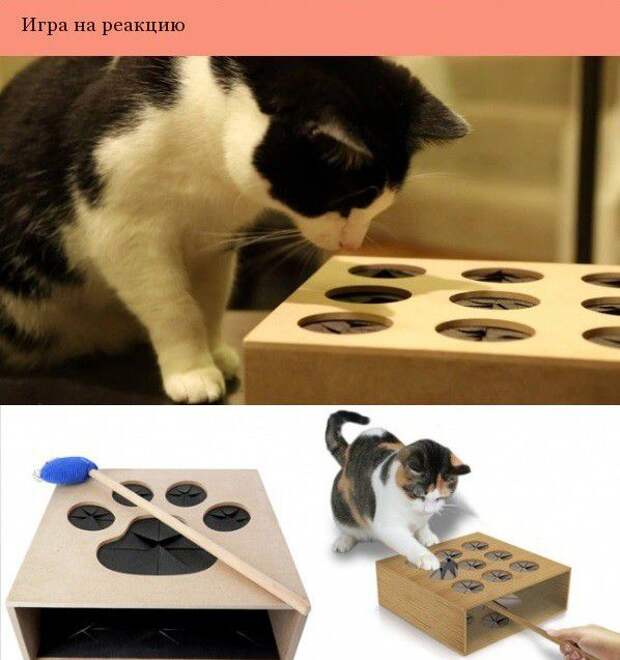 Дизайнерские штуки для котеек дизайн, котэ
