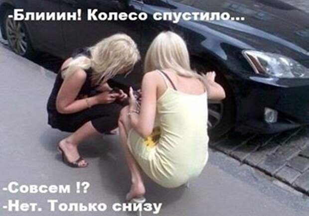 Смешная галерея фотоприколов # 94