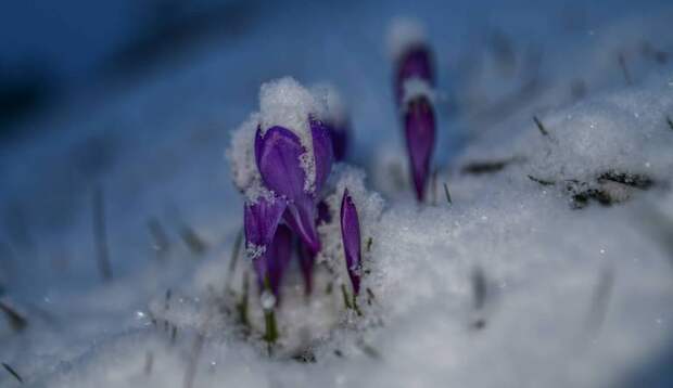 Похолодание до -14 градусов и мокрый снег ожидаются в Кузбассе в четверг 25 апреля