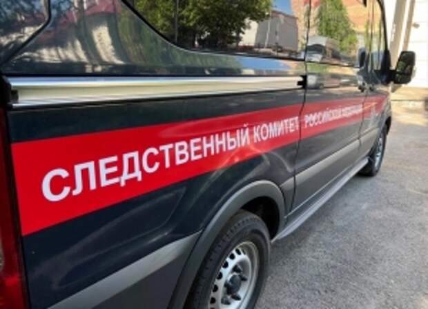 В центральный аппарат СК России будет представлен доклад о ходе расследования уголовного дела по факту гибели пожилого жителя Московской области