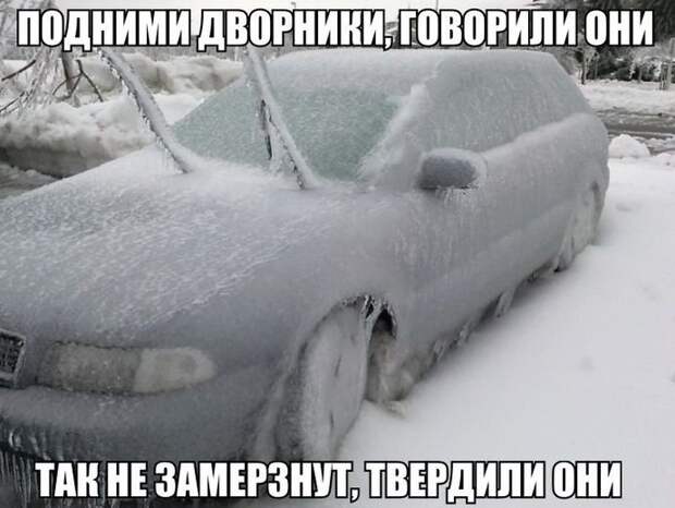 1449147865_avtoprikoly-12