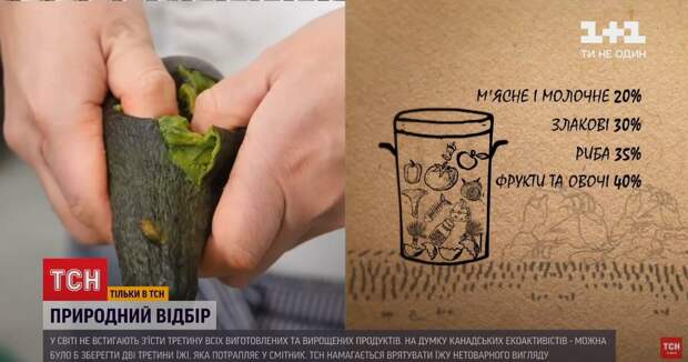 Телеканал ТСН научил украинцев, как из отходов и просрочки готовить еду. Их, похоже, готовят "к земле"