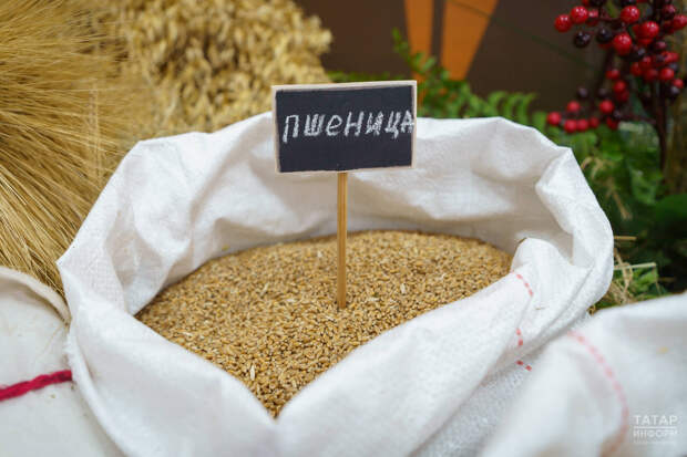 Географию поставок АПК Татарстана планируют расширить за счет стран Северной Африки и ЮВА