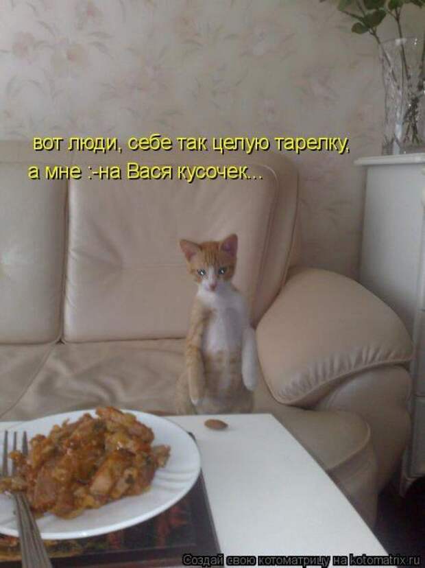 Мысли вслух :)