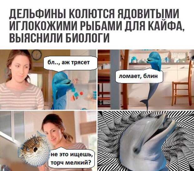 Смешные комментарии и высказывания из социальных сетей высказывания, комментарии, прикол