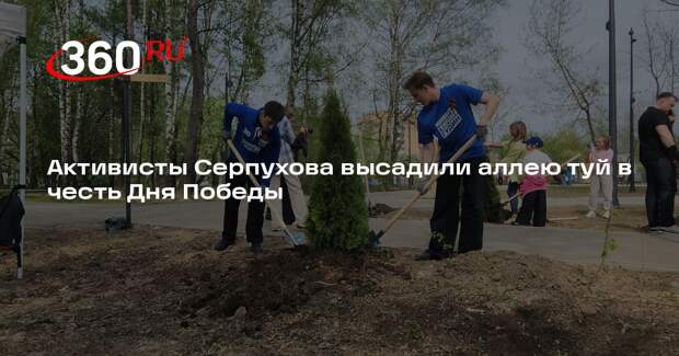 Активисты Серпухова высадили аллею туй в честь Дня Победы