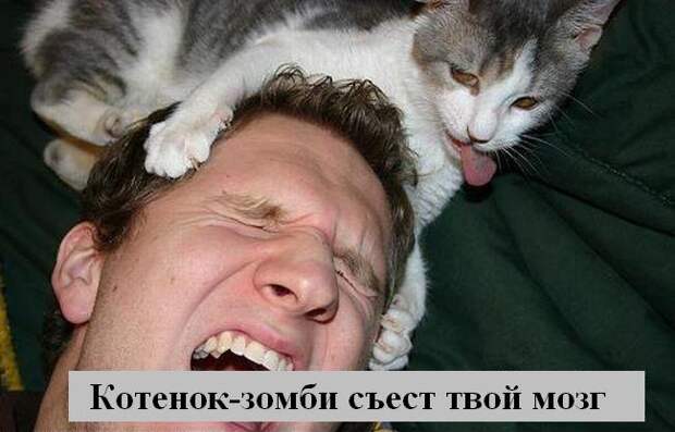 Мысли2 :) (50мыслей)