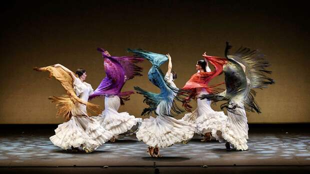 Глава фестиваля Dance Open Екатерина Галанова: «Название обязывает нас быть открытыми»