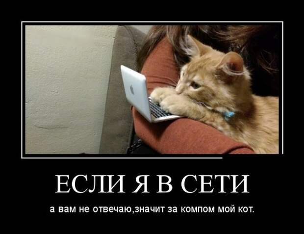 Демотиваторы (30 фото)