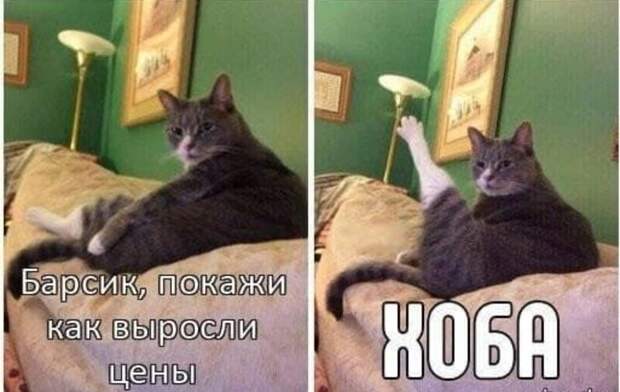 А что у вас еще не подорожало? А что у вас еще не подорожало?