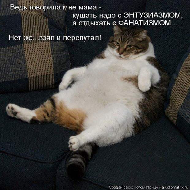 Мысли вслух :)