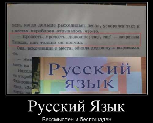 Демотиваторы про русский язык