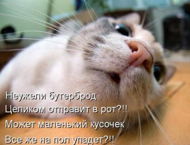 599533a1942a6456d6bbf867cb5_prev