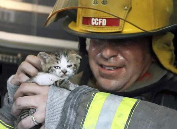 20 фотографий смелых пожарных, спасающих животных из огня (21 фото)