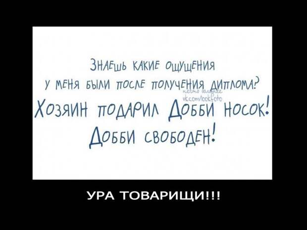 Весёлые демотиваторы (65 фото)