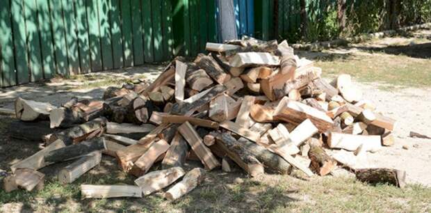 «Кому бы их продать». Минприроды и краевые депутаты подискутировали о льготной древесине