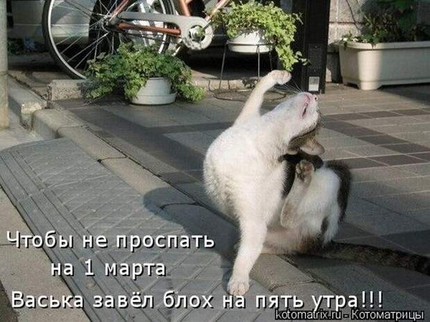 3802001_1_15 (700x526, 82Kb)