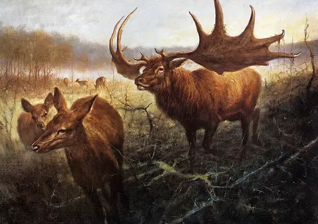 �������� ��� ���������.