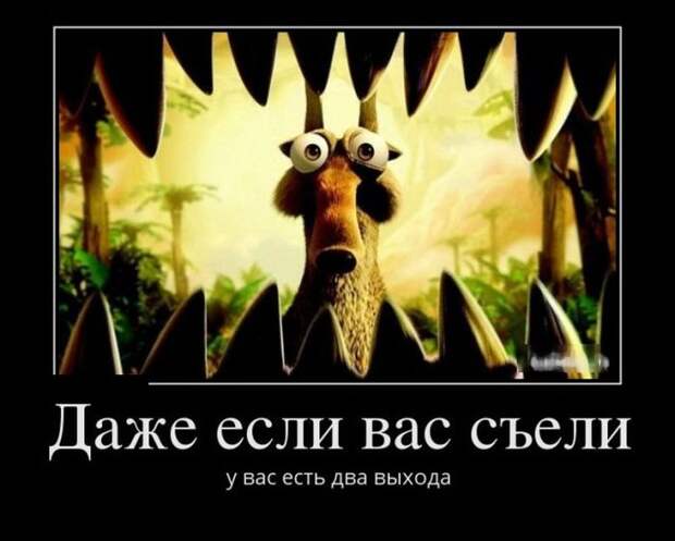Забавные демотиваторы на утро (11 фото) Забавные демотиваторы на утро (11 фото)