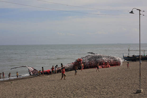 Размеры скульптуры составляют 22х3 м, она создана из пластикового мусора, выловленного в океане загрязнений, кит, океан, скульптура, филиппины