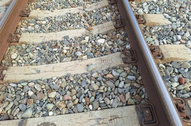 В Иркутской области грузовой поезд насмерть сбил мужчину и двоих детей