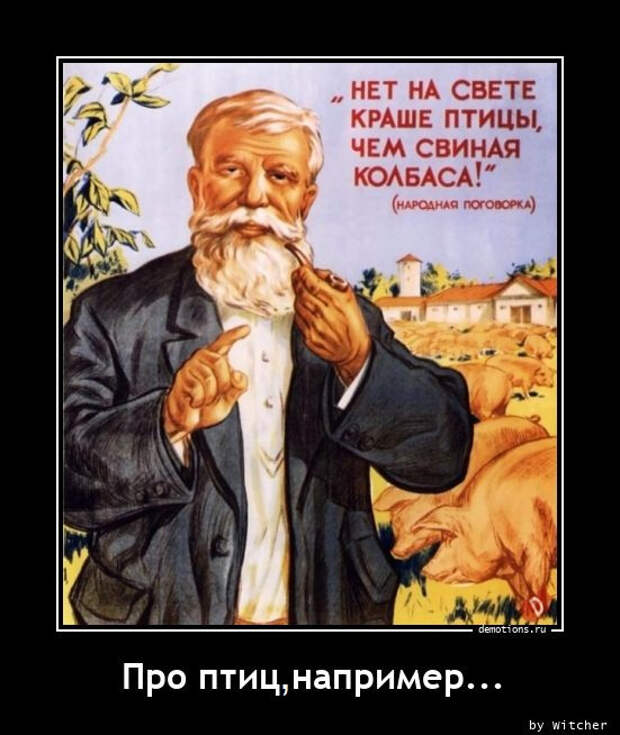 Свежих демотиваторов сборник (19 фото)