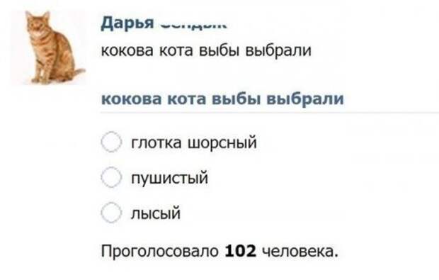 Смешные картинки и фото (65 шт)