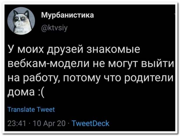 setey-socialnyh-kommentarii-kartinki-smeshnye-kartinki-fotoprikoly