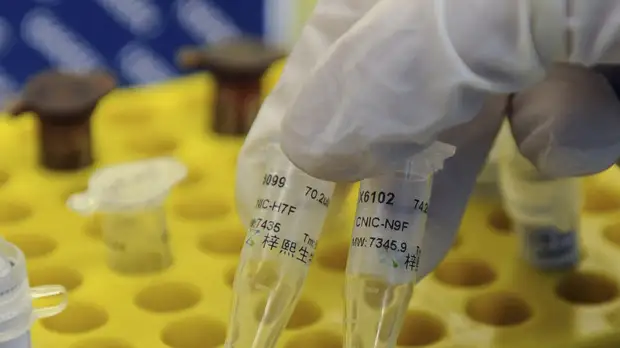 Районная администрация в Башкирии ввела режим ЧС из-за птичьего гриппа