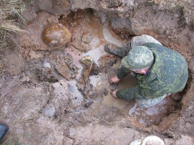 Под Андреаполем обнаружили останки 5 красноармейцев