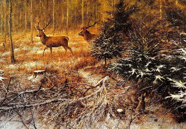 �������� ��� ���������.