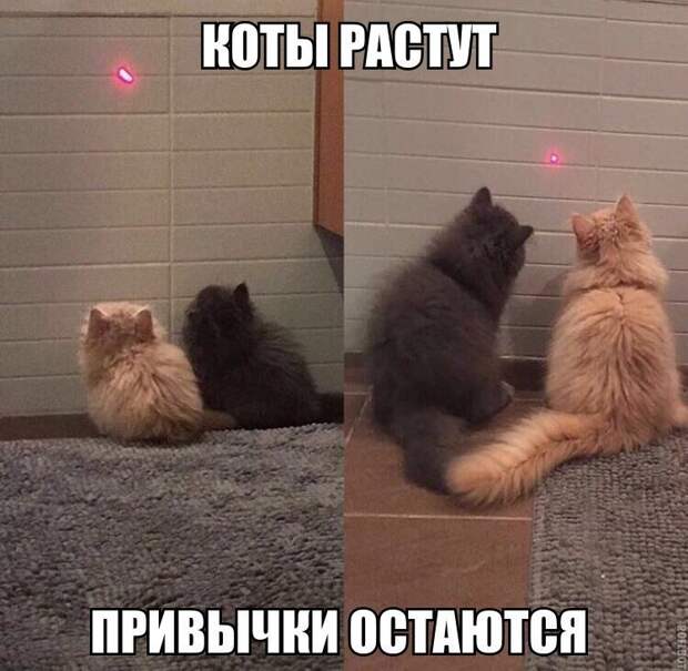 Свежие и веселые картинки с надписями со смыслом (11 фото) Свежие и веселые картинки с надписями со смыслом (11 фото)