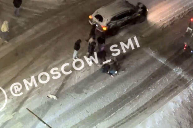 В Москве водитель сбил человека с собакой и попал на видео