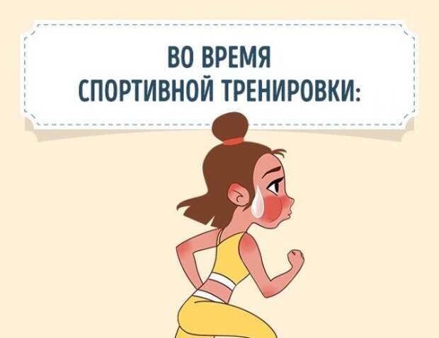 Как реагирует организм на ежедневные занятия спортом