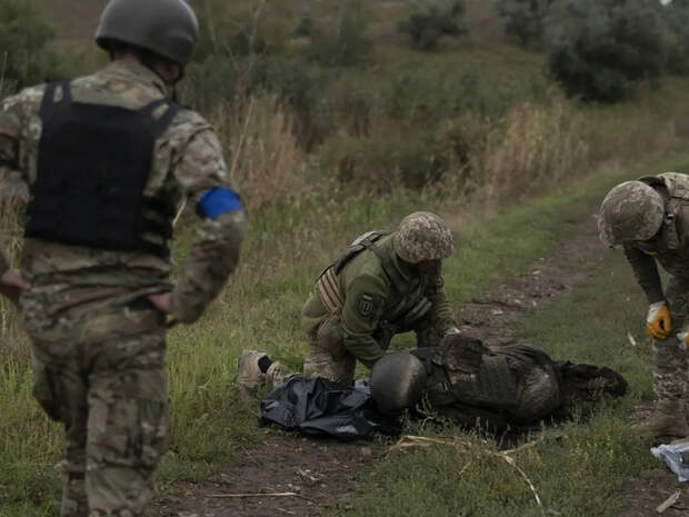 На Украине признали факт поставки наркотиков в зону СВО для ВСУ